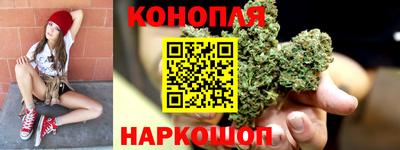 гидропоника Можайск